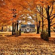 Tired of raking your leaves? Sell the house and let someone else rake them! (Just kidding, you still need to rake them while it's on the market)