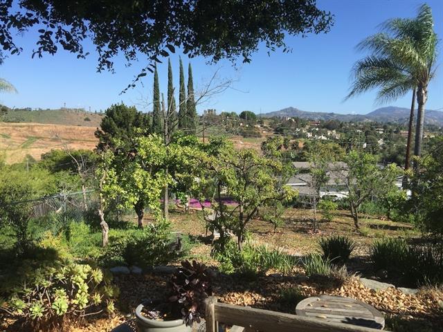 Greg Timms Blog | Rancho Verde